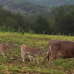 Apartamento Vistas A La Montana En Un Pueblo Con Encanto. El Pueyo de Araguás