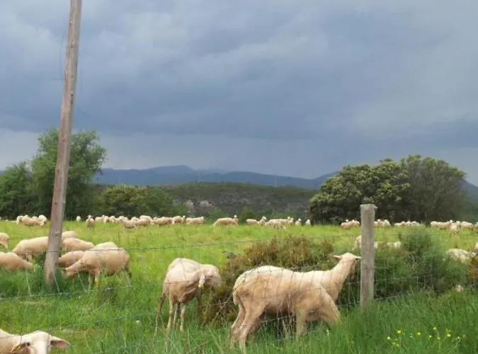 Vistas A La Montana En Un Pueblo Con Encanto. Lägenhet *