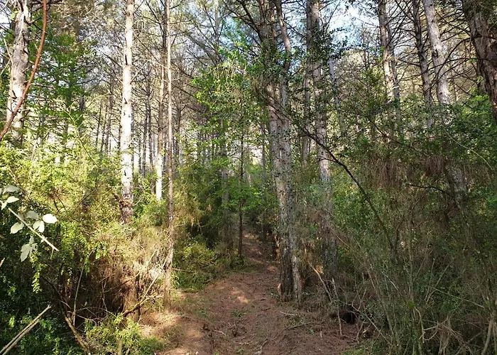 Vistas A La Montana En Un Pueblo Con Encanto.